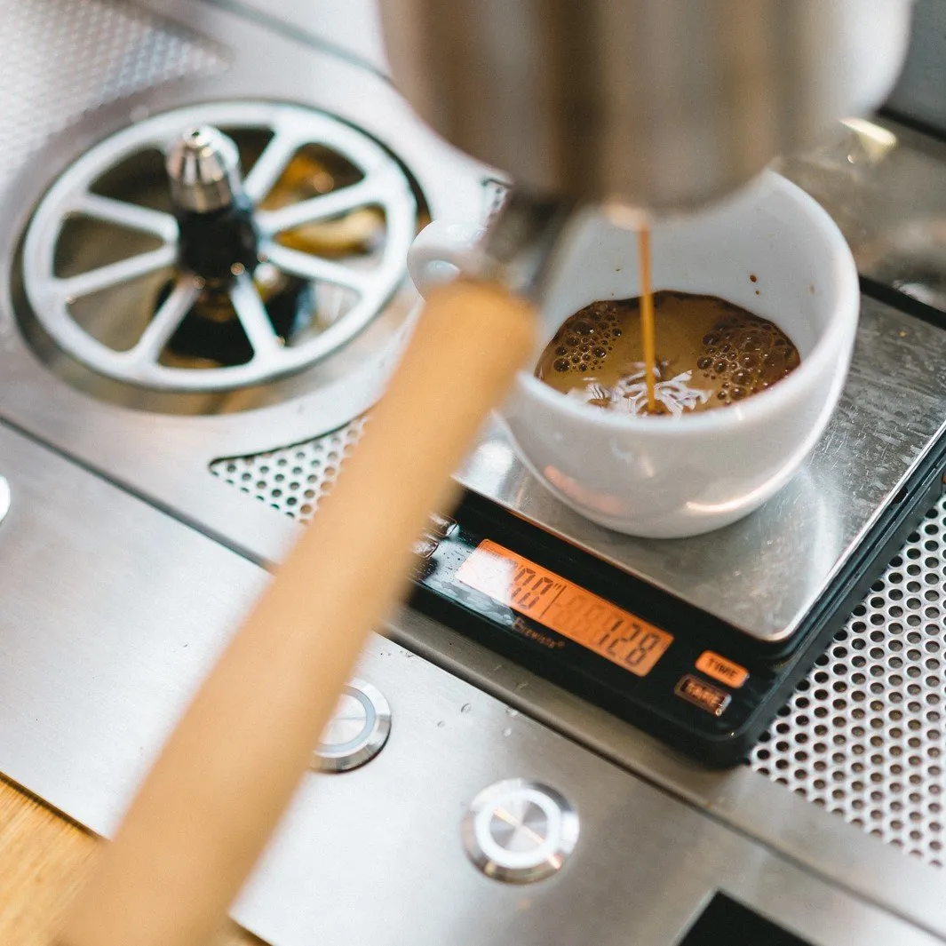 Brewista Smart Scale II