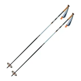 Swix Blizzard Mountain Tourer