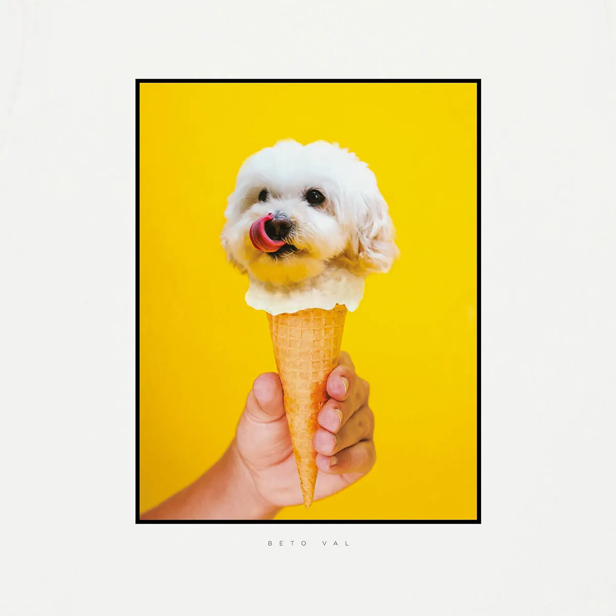 Tee-shirt Bask In The Sun dog icecream, natural